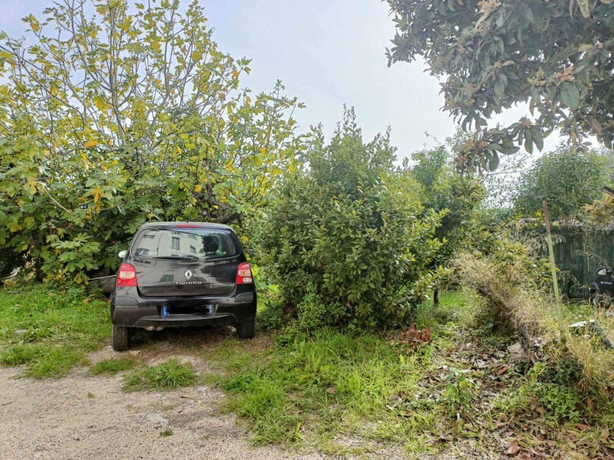 Un Bel Appartement Rez Jardin Parking Gratuit 旺斯 外观 照片